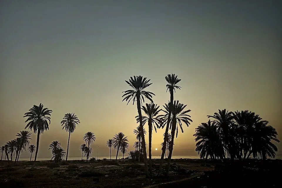 شاطئ جرجيس والنخيل وقت الغروب في تونس